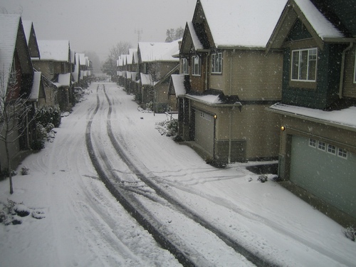 snowy1.jpg