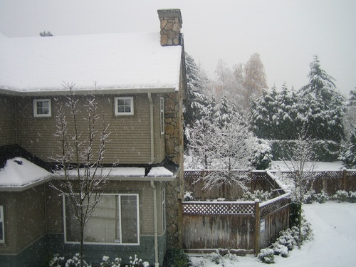 snowy2.jpg